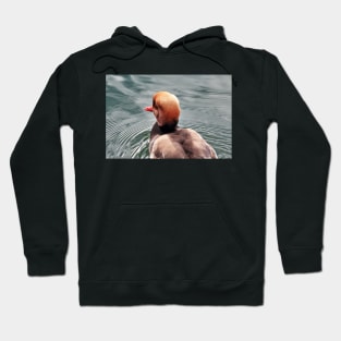 Kolbenente (Netta rufina) - Red-crested Pochard Hoodie